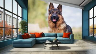 Portrait of a German Shepherd Wall mural