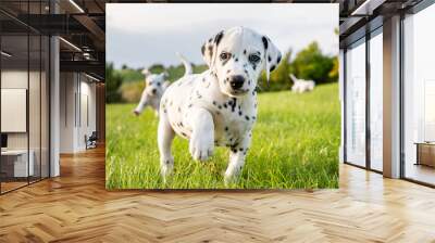 Portrait of a happy dog Wall mural