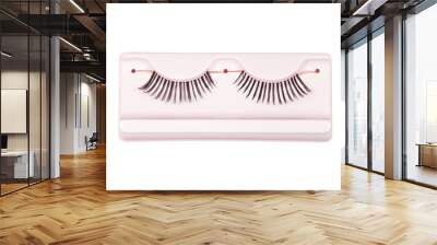 false eyelashes, black false eyelashes Wall mural