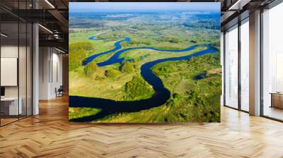 Aerial river landscape. Scenery river from above. Summer nature Wall mural