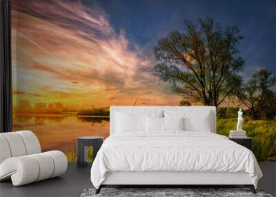 amazing landscape of summer nature on river shore at sunset with colorful cloudy sky. Perfect scene large tree on grassy bank of lake. Grass glowing on warm sunlight in the evening. Wall mural