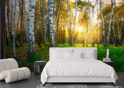 Autumn birch trees in bright sunlight. Forest nature landscape at sunset Wall mural