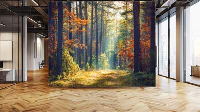 Autumn forest nature. Vivid morning in colorful forest with sun rays through branches of trees. Scenery of nature with sunlight. Wall mural