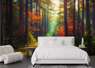 Autumn nature landscape of colorful forest in morning sunlight. Wall mural