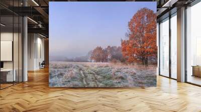 Autumn nature landscape with clear sky and colored tree. Cold meadow with hoarfrost on grass in november morning. Amazing fall. Vibrant panoramic view on natural wild autumnal meadow before forest. Wall mural