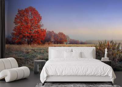 Autumn nature landscape. Colorful red foliage on branches of tree at meadow with hoarfrost on grass in the morning. Panoramic view on scenic nature at fall. Perfect morning at outdoor in november Wall mural