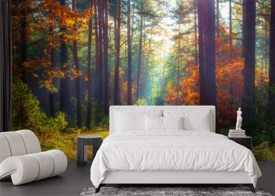 Autumn nature landscape. Sunny autumn forest. Beautiful colorful trees in woodland Wall mural