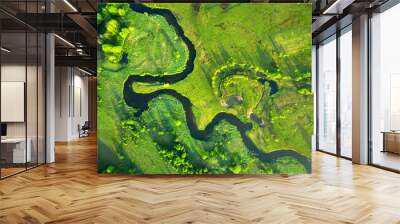 Ecology and environment concept. Green nature from above. Aerial view on river landscape. Healthy nature Wall mural