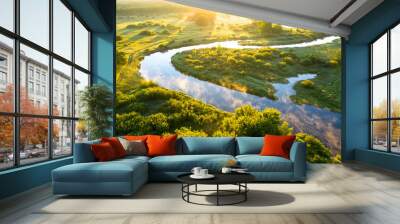 Summer morning on the river with fog, aerial view. River located between forest and green fields Wall mural