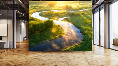 Summer nature background. Scenic sunny river at sunrise view from above. Beautiful bright nature landscape of riverside aerial view. Sunny morning on river Wall mural