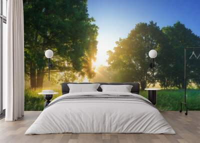 Summer vibrant landscape of morning nature with bright sunlight. Wall mural