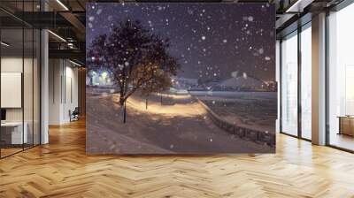 Winter in night city. Snowfall. Snowy park in evening. Christmas background Wall mural