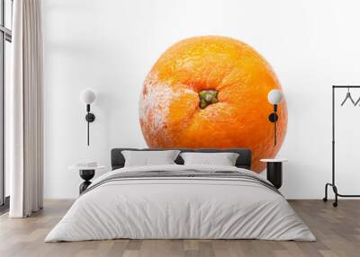 A spoiled orange on a white background. Fruit isolate. Lack of food and fruits. Lack of food for the people. Hunger all over the world. Wall mural