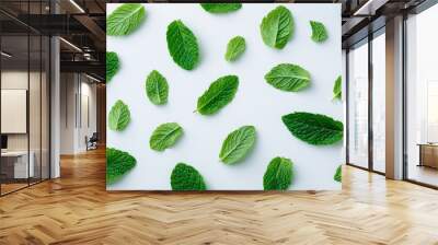 An organic peppermint or mint leaf isolated on a transparent background. An Asian organic herb and spice concept, a natural organic healthy plant. Wall mural