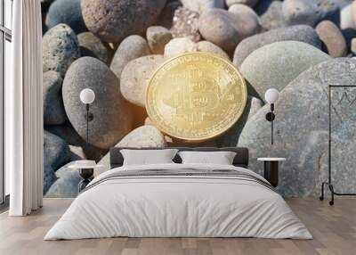 Close-up of a bitcoin lying on the rocks Wall mural