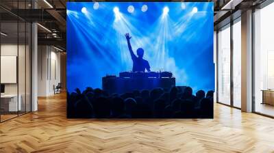 DJ Performing at Concert in Front of Crowd Wall mural