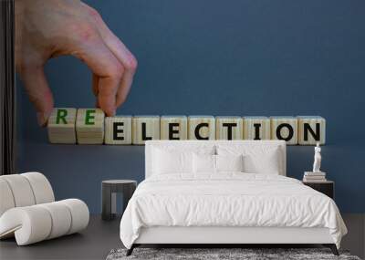 Election or reelection symbol. Wooden cubes with words 'Election reelection'. Businessman hand. Beautiful grey background. Business, politic, election or reelection concept. Copy space. Wall mural