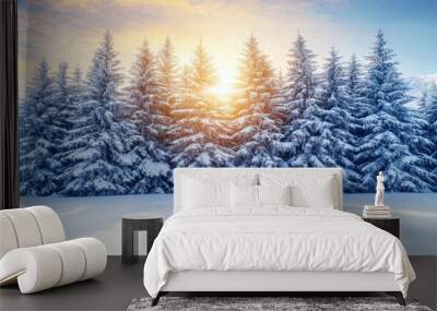 Evergreen trees covered in snow, standing tall in the winter landscape Wall mural