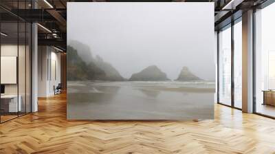 Foggy coast in Oregon on the shores of the Pacific Ocean. Wall mural