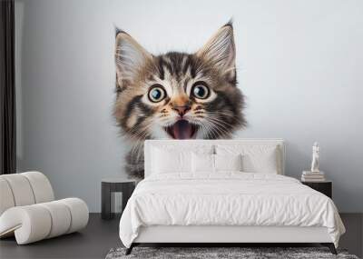 Image of a crazy surprised cat pet close-up. Wall mural