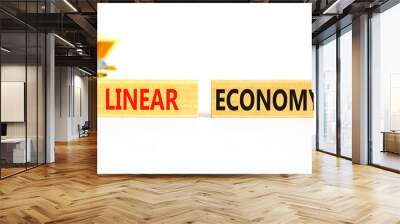 Linear economy symbol. Concept words Linear economy on wooden blocks. Beautiful white table white background. Wooden chest with coins. Business linear economy concept. Copy space. Wall mural