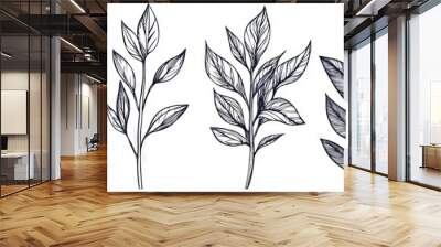 Modern illustration of herbs, abstract flowers, floral, ginkgo, rose, tulip, bouquet of olives. Hand drawn continuous line drawing. Wall mural