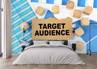 On documents with graphs and reports, there are cubes and cardboard with the inscription - Target Audience Wall mural