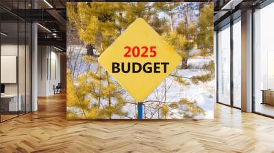 Planning 2025 budget new year symbol. Concept words 2025 Budget on beautiful yellow road sign. Beautiful winter forest background. Business 2025 budget new year concept. Copy space. Wall mural