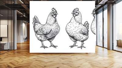 Rooster ink sketch with hen and bird silhouettes on black and white background. Vintage engraving. Wall mural