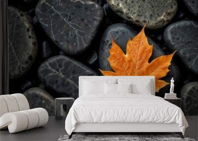 stones with leaves 2 Wall mural