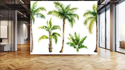 The tropical palm tree set consists of a tropical green branch and palm isolated on a white background. This illustration represents the botanical design of the palm tree. Wall mural