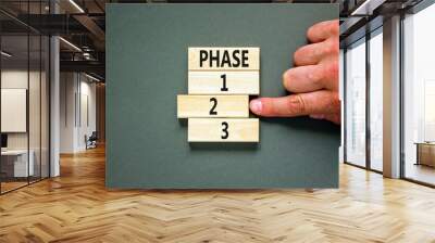 Time to phase 2 symbol. Concept word Phase 1 2 3 on wooden block. Businessman hand. Beautiful grey table grey background. Business planning and time to phase 2 concept. Copy space. Wall mural