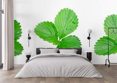 Set of fresh green strawberry leaves  with water drops isolated on a transparent background Wall mural