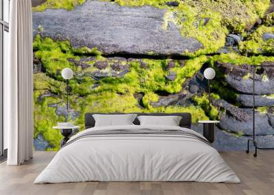 Close of vibrant green moss growing on layered rock formations..... Wall mural