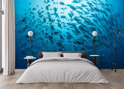 A large school of Bigeye jacks, Caranx sexfasciatus, swims in Palau. Wall mural