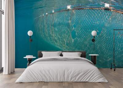 Fishing Net Wall mural