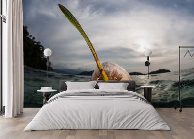 Floating Coconut Near Tropical Island Wall mural