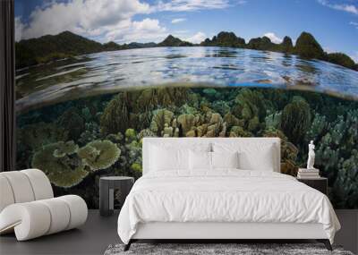 healthy corals and beautiful islands in wayag, raja ampat Wall mural