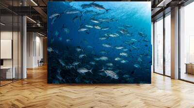 Light Falling on School of Trevally Wall mural