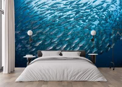 Schooling Fish 3 Wall mural