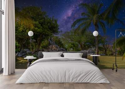 Playacar Mayan ruins in the forest park with Milky Way Galaxy stars night sky in Playa del Carmen, Yucatan, Mexico Wall mural