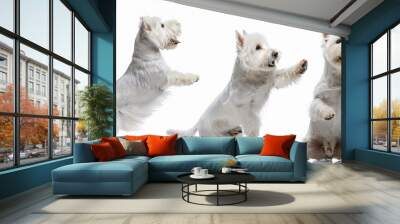 Hund Springend  Wall mural