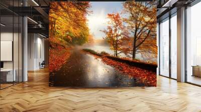 Schönes Herbst Bild nass Blätter wirble Wall mural