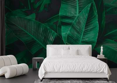 abstract banana leaf texture, tropical leaf foliage nature dark green background Wall mural