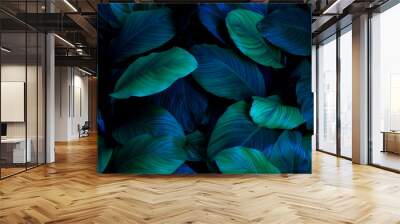 abstract green leaf texture, nature background, tropical leaf
 Wall mural