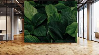 abstract green leaf texture, nature background, tropical leaf	 Wall mural