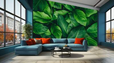 abstract green leaf texture, nature background, tropical leaf Wall mural