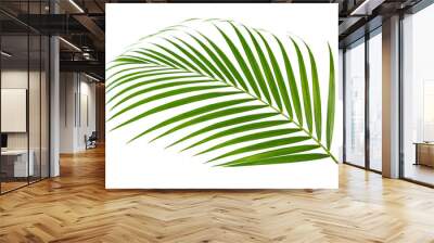 Green leaf of palm tree on transparent background png file	 Wall mural