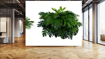 group of tropical foliage leaves foliage plants forest bush flower arrangement nature isolated on white background combine ,cutting path Wall mural