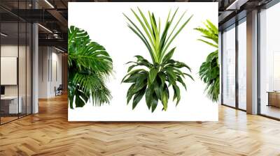 Plant leaves Green nature Tropical forest isolated on transparent background - png	 Wall mural